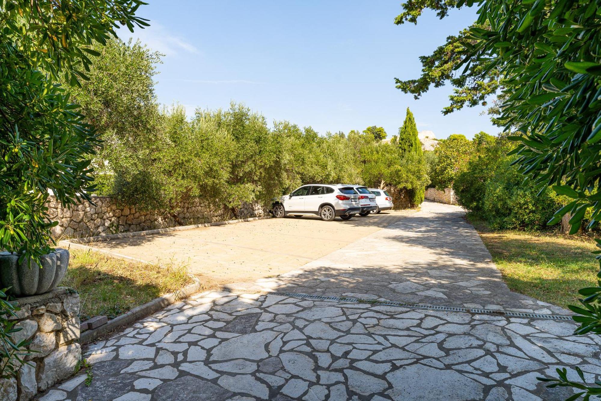 Apartment Tereza
